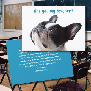 De volta à escola Boston Terrier - Cartões de Boas