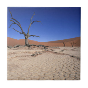 Dead Vlei, Sossusvlei, Parque Nacional Namib-Naukl