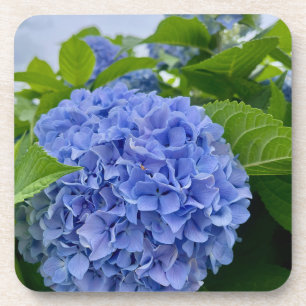 Deanna Day Hydrangea Porta copos