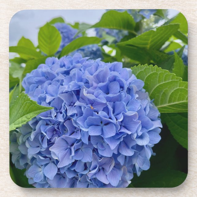 Deanna Day Hydrangea Porta copos (Frente)