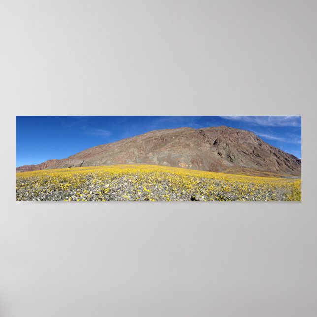 Death Valley Super-bloom Poster (Frente)