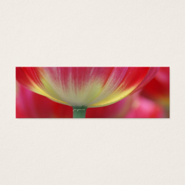 debaixo da saia das tulipas (Frente)