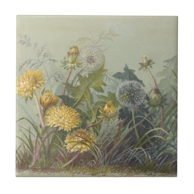 Deborah Griscom Passmore Watercolor Album Pl.60 (Frente)