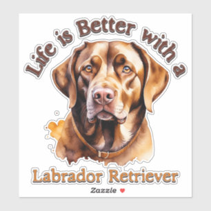 decalque adesivo do solhador do veículo Labrador R