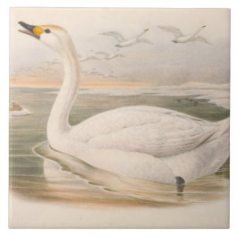 decor de vintões bonitos