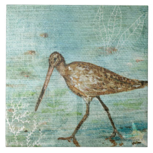 Decoração Costeira de Praia de Snipe Shorebird