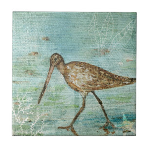 Decoração da Casa da Praia Costeira Snipe Shoreb