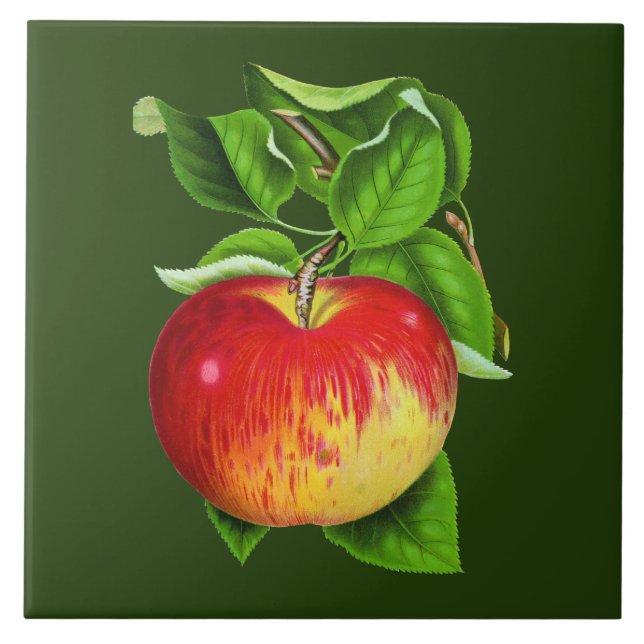 Decoração da cozinha da Apple, safada (Frente)