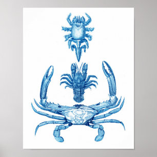 Decoração da praia do poster No.5 dos caranguejo
