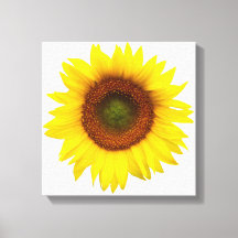 Decoração das canvas do girassol do dia ensolarado