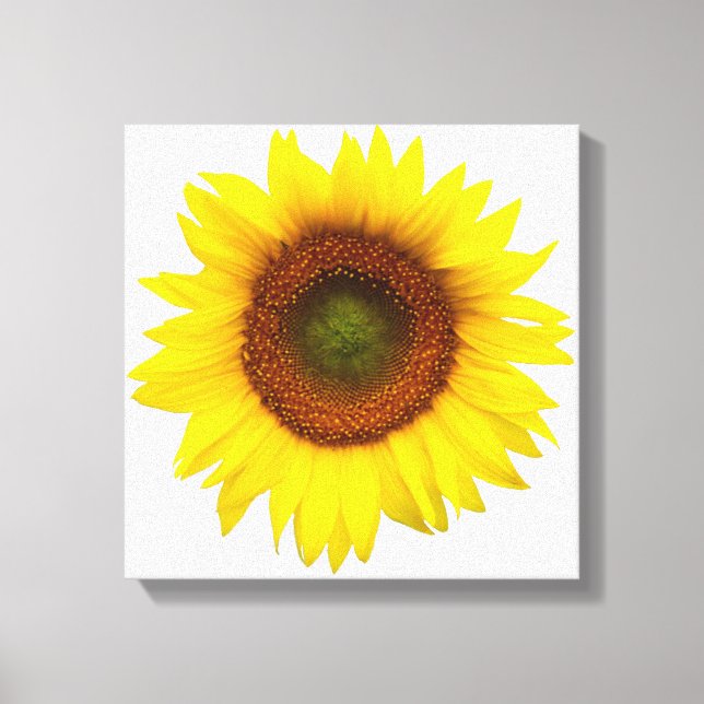 Decoração das canvas do girassol do dia ensolarado (Frente)