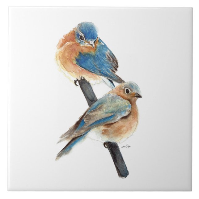 Decoração de Arte de Bluebird (Frente)