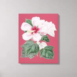 decoração de casa de escritório de Hibisco Esplênd