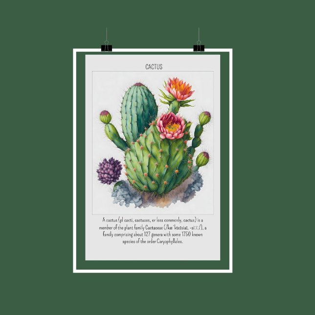Decoração de Muro de Poster de Cactus Blooming de  (Watercolor Blooming Cactus Poster Wall Decor | Are you a nature lover? It's time for a makeover!)