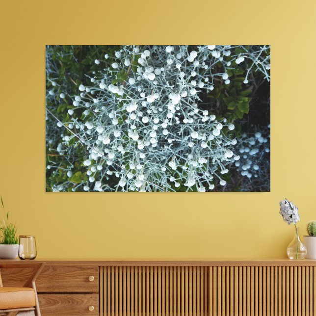 decoração de parede artística fotografiqqq (Insitu(Sala de estar))