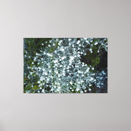 decoração de parede artística fotografiqqq