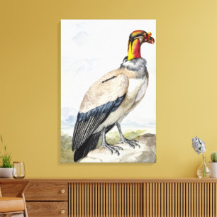Decoração de Parede Vibrante do Exótico Rei Abutre