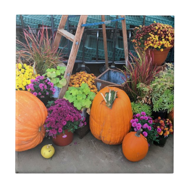 Decoração do outono (Frente)