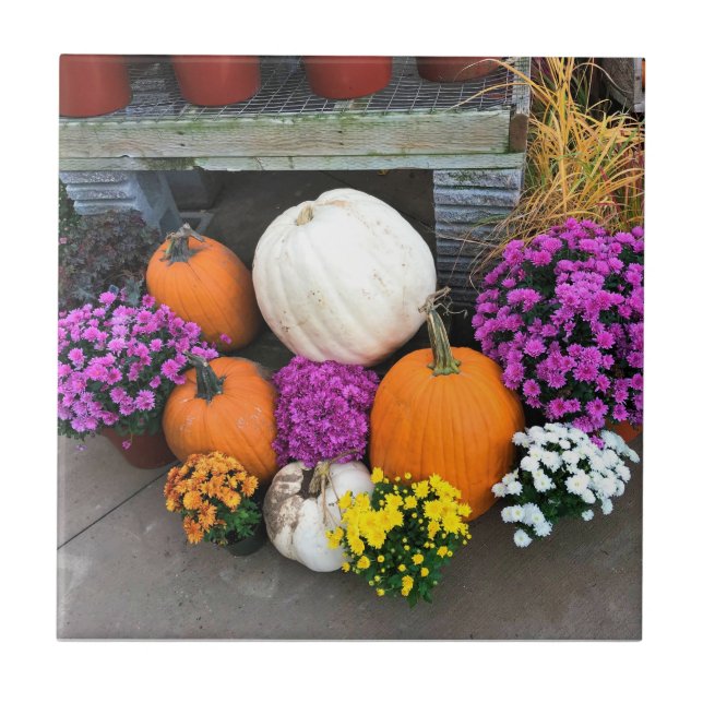 Decoração do outono (Frente)