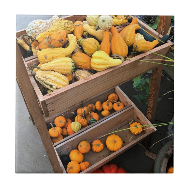 Decoração do outono (Frente)