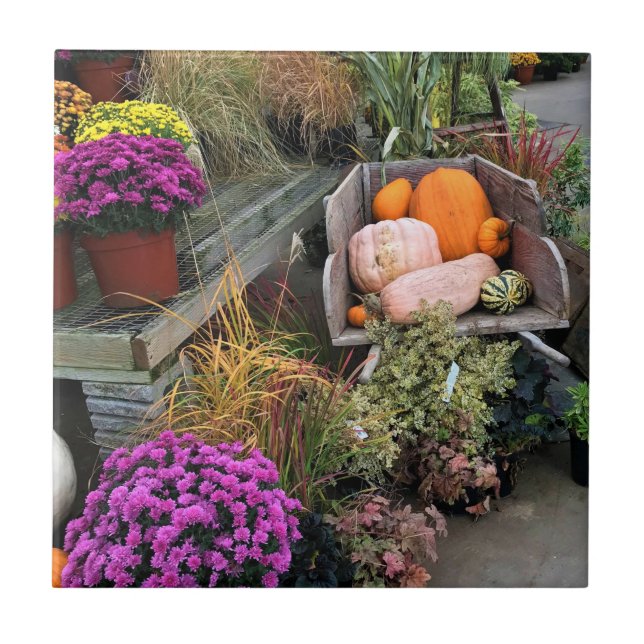 Decoração do outono (Frente)