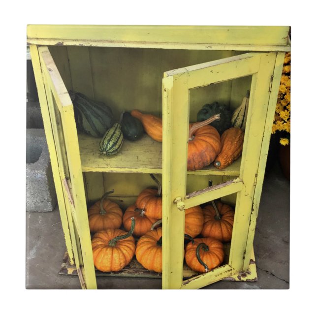 Decoração do outono (Frente)