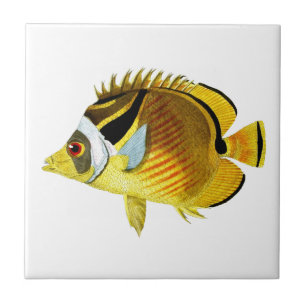 Decoração Home litoral tropical dos peixes no.4 