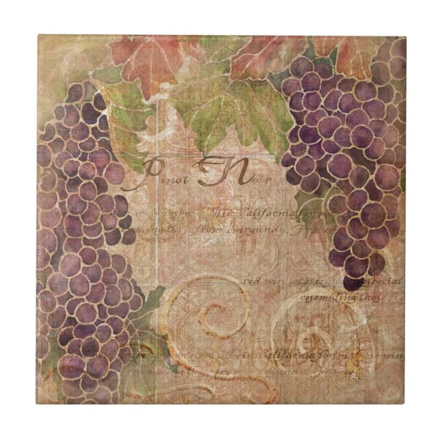 Decoração inicial de vinheta de uvas envelhecidas (Frente)