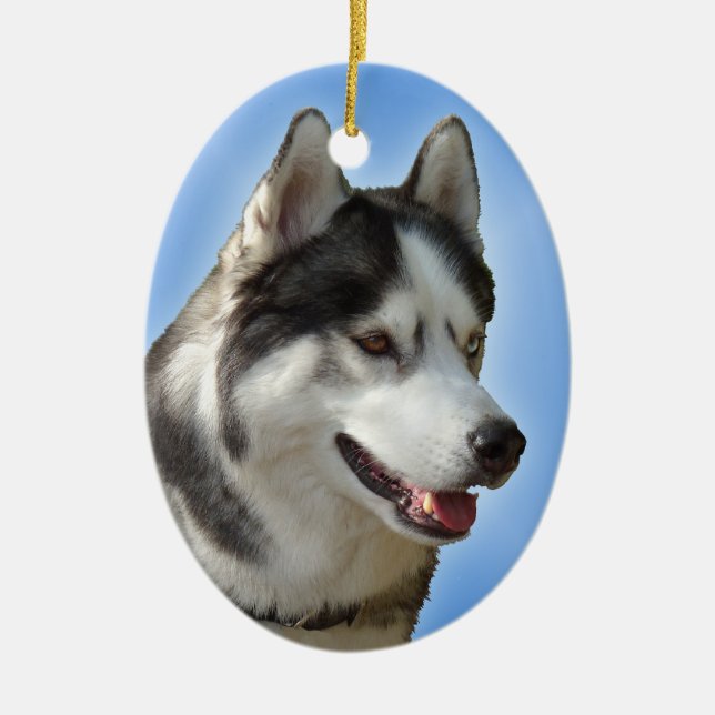 Decoração Personalizada do Cão-Leve do Ornamento d (Frente)