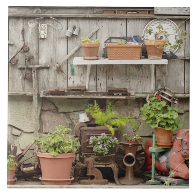 Decorações na cerca de madeira, ilha Catalina, (Frente)