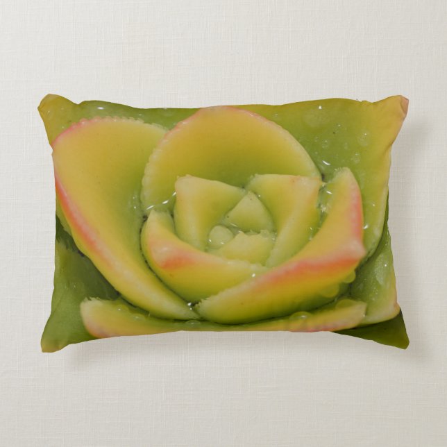 Decorativa Almofada de lançamento suculenta | Decoração Botân (Frente)