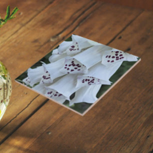 Dedal-de-Neve-Listrado-de-Rosa Floral