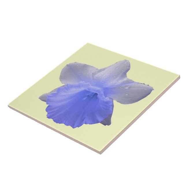 Dedilhando Azulejo Azul Daffodil (Lateral)