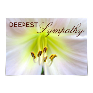 "Deepest Sympathy" - Cartão Branco da Oma