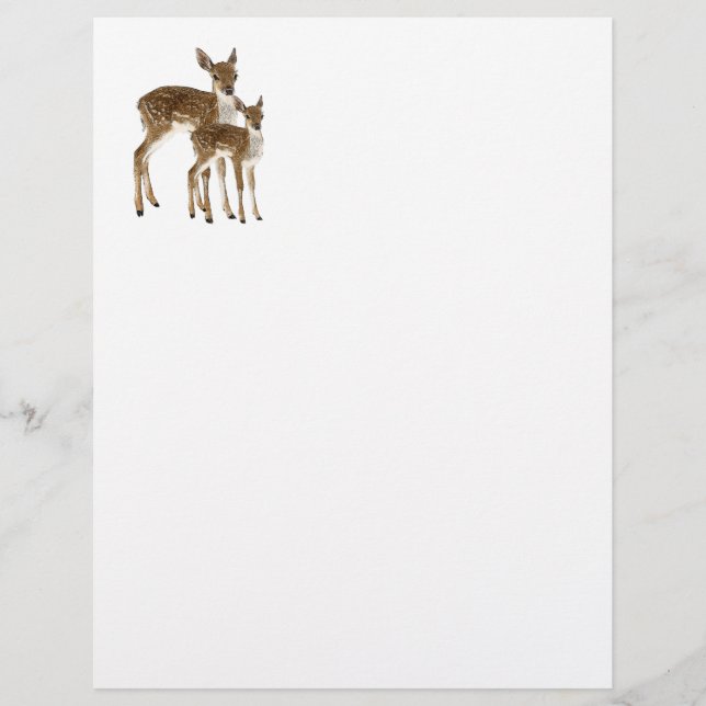 Deer (Frente)