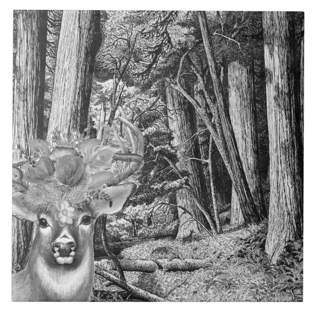 Deer (Frente)