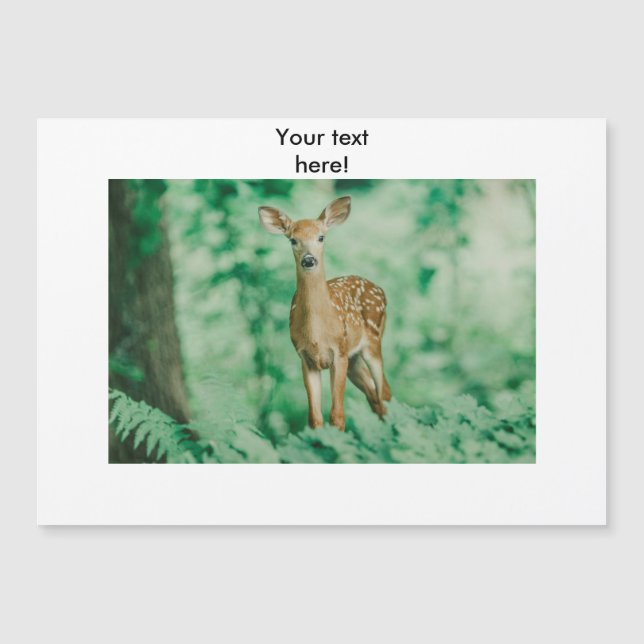 Deer (Frente)