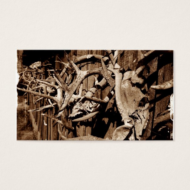 Deer Antlers (Frente)