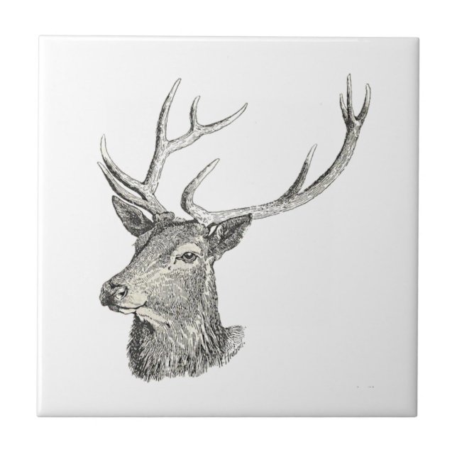 Deer Buck Head com Antlers Black and White Art (Frente)