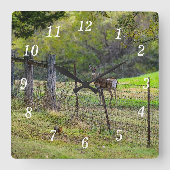Deer E Um Relógio De Parede De Pelos Esquilos (Frente)