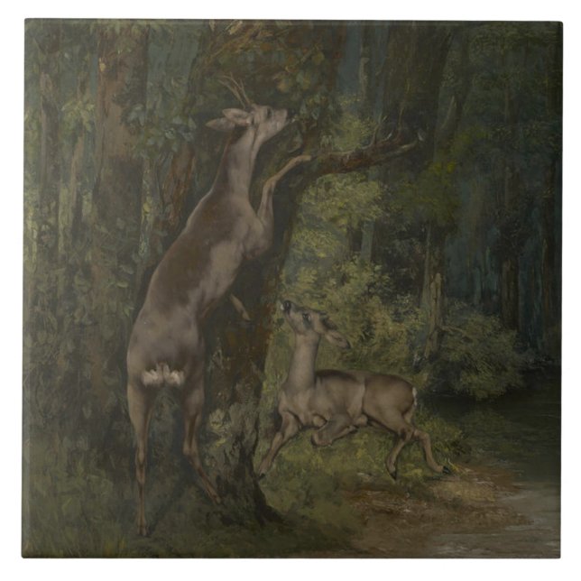 Deer in the Forest (por Gustave Courbet) (Frente)