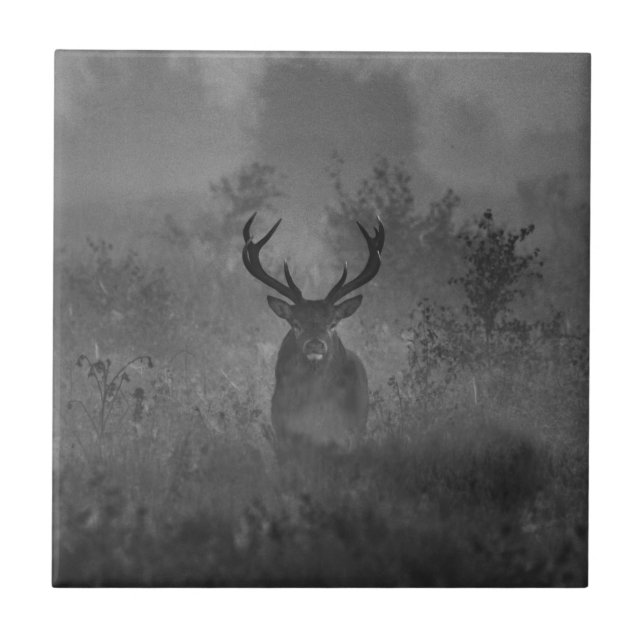 Deer In The Mist (Frente)