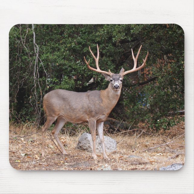 Deer Mousepad (Frente)