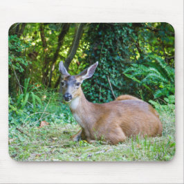 Deer Mousepad em repouso