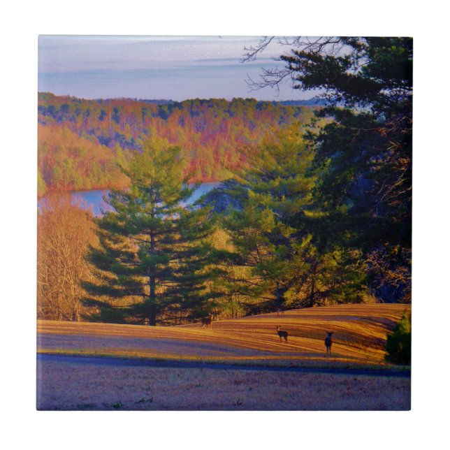 Deer & Mt Lake (Frente)