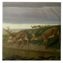 Deer on the Prairie (por William Holbrook Beard)