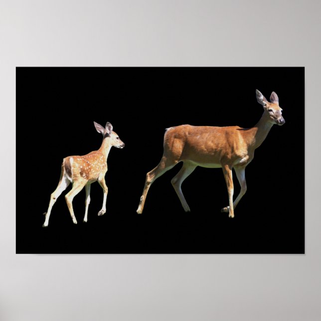 Deer Poster (Frente)
