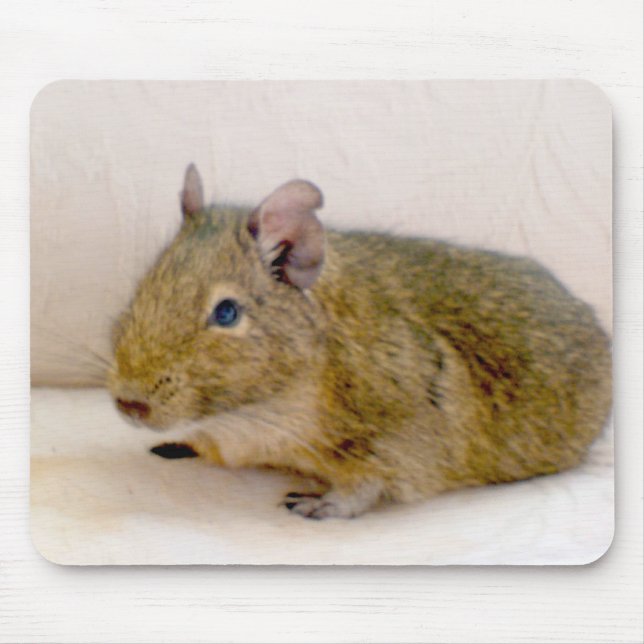 Degu Mousepad (Frente)