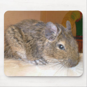 Degu relaxando Mousepad