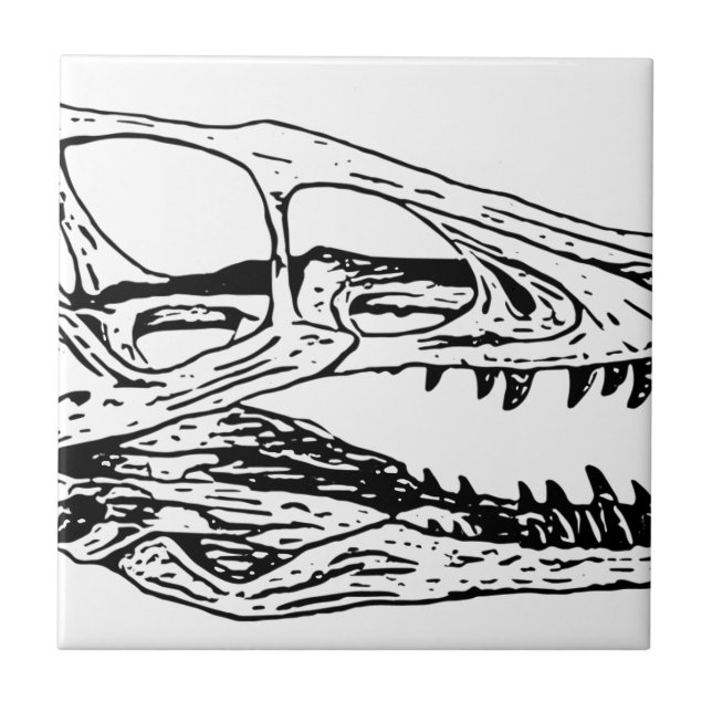 Deinonychus (Frente)